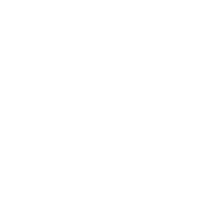 Lavs Logo