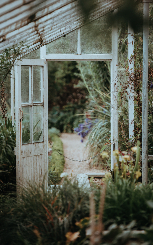 A beautiful rustic greenhouse