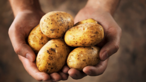 Autumn Offer: Potatoes